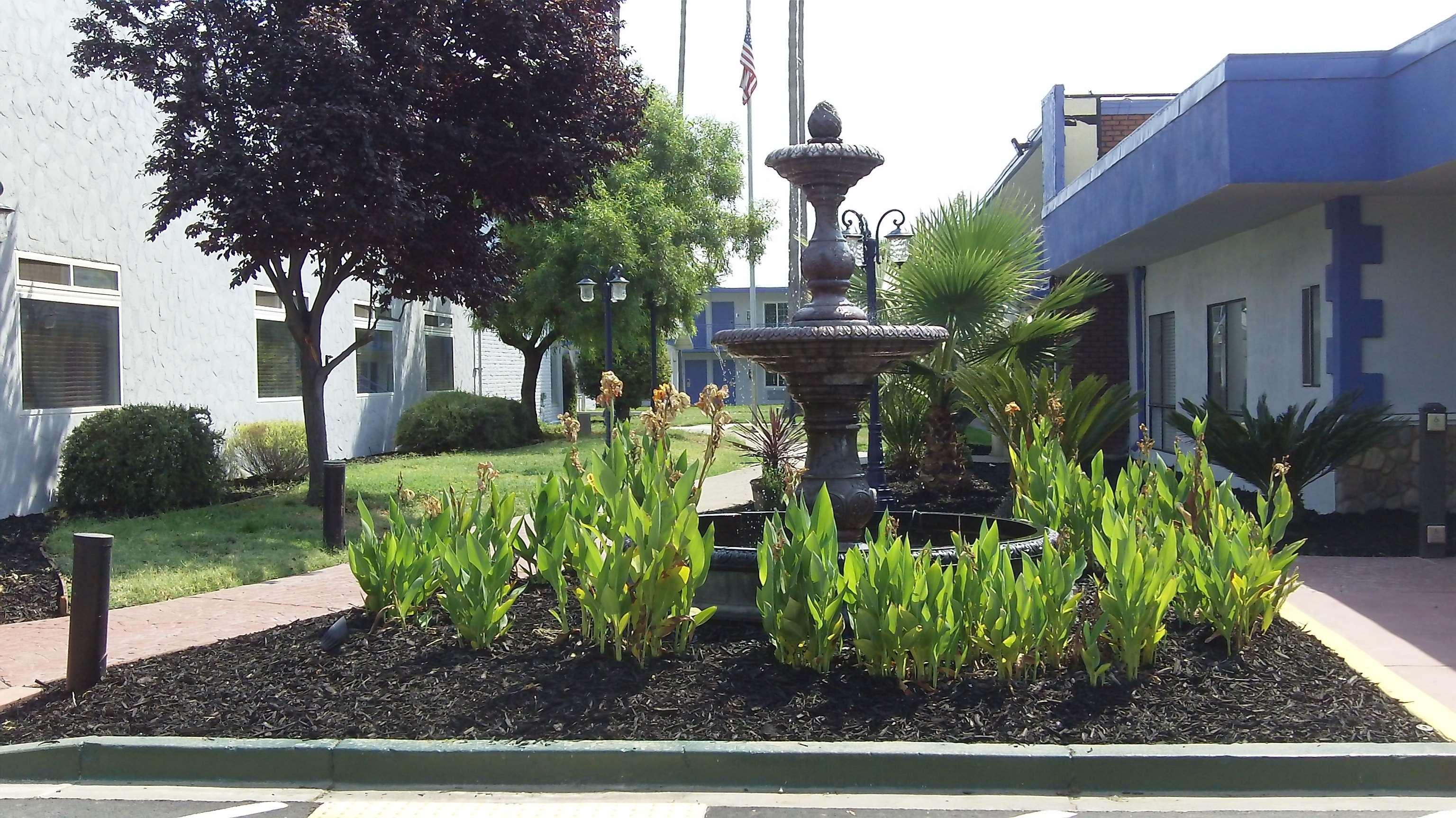 Surestay Plus Hotel By Best Western Sacramento Cal Expo Exteriér fotografie