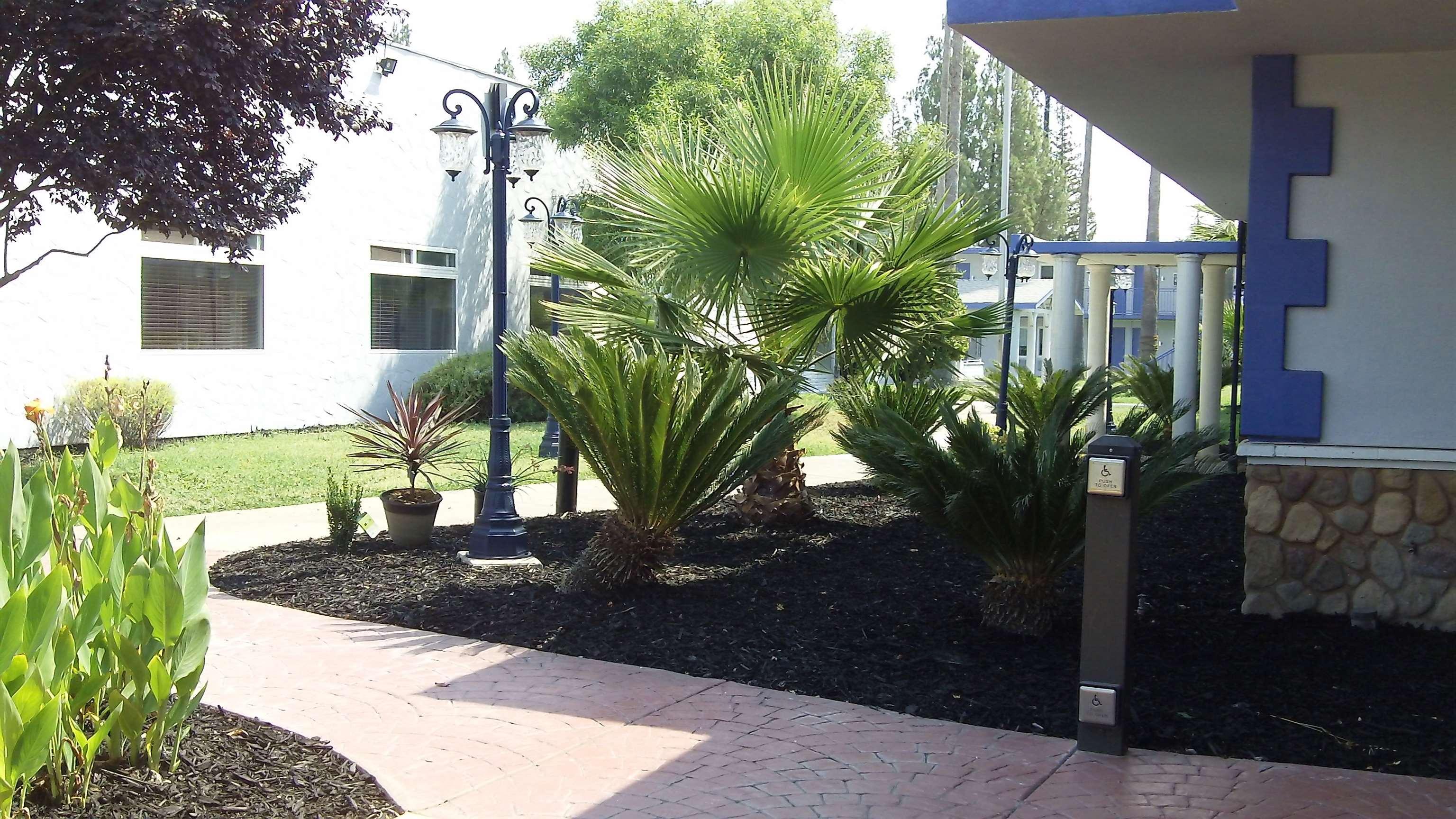 Surestay Plus Hotel By Best Western Sacramento Cal Expo Exteriér fotografie